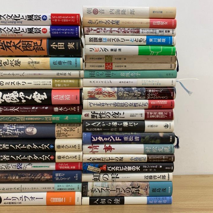 ■02)【同梱不可】文学などの本 まとめ売り約65冊大量セット/小説/エッセイ/俳句/フランス/文化/ノストラダムス/藤本ひとみ/山崎豊子/C □02)【同梱不可】文学などの本 まとめ売り約65冊大量セット