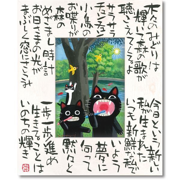 RADIALL LAID BACK ピグメントダイ セットアップ XL 黒