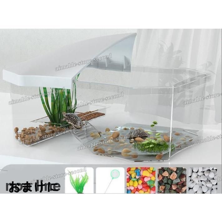 両生類 カメの楽園