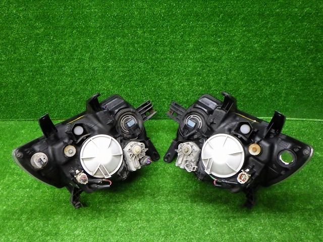 左右 HID