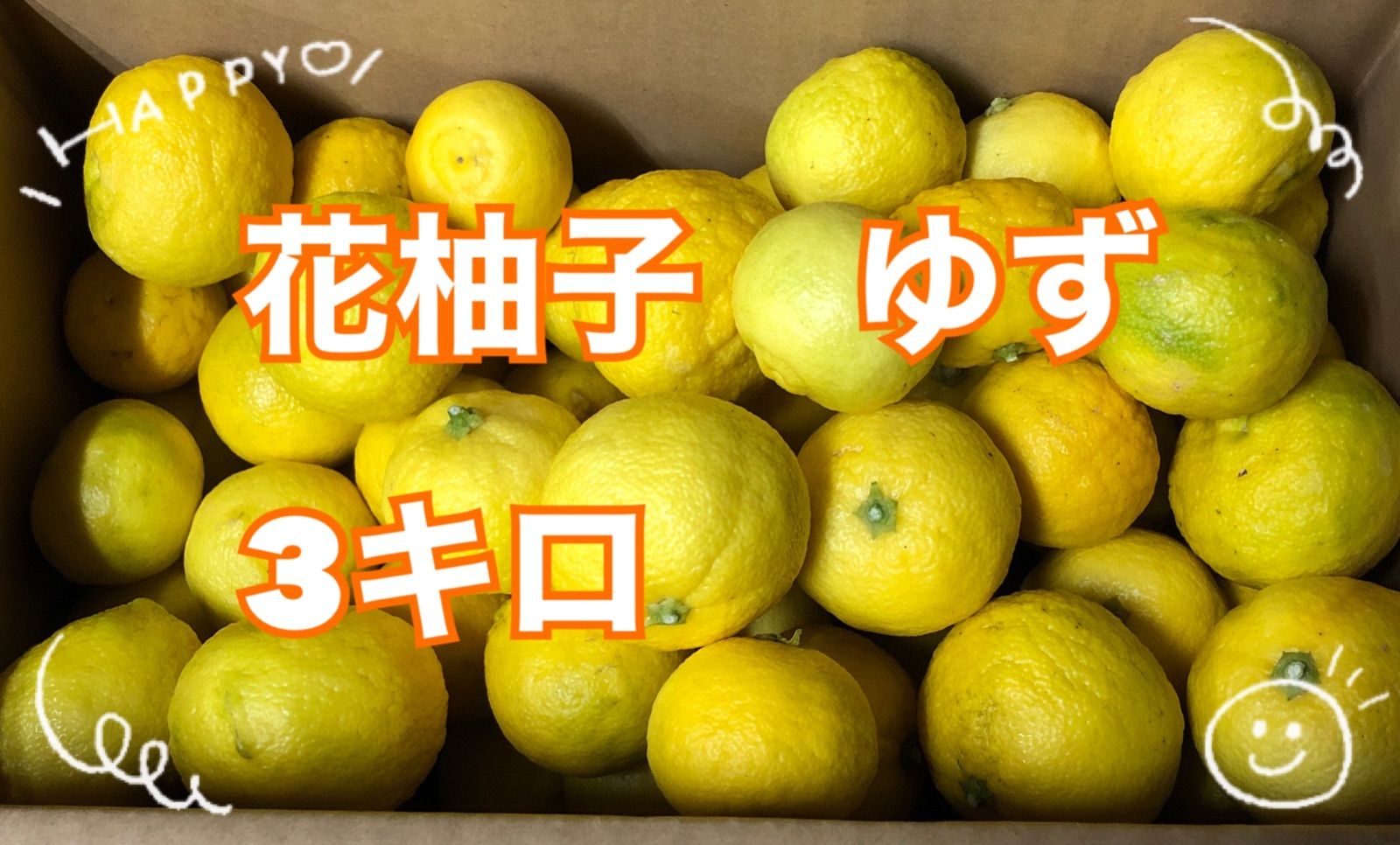 楽天市場】柚子 苗木 【花柚子 （はなゆ）】 一才ゆず 3年生接木