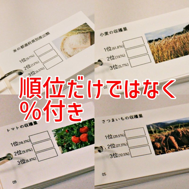 ぱんだ様 中学受験 暗記カード 地理データバンク 一次産業 暗記カード 中学受験 中学入試 予習