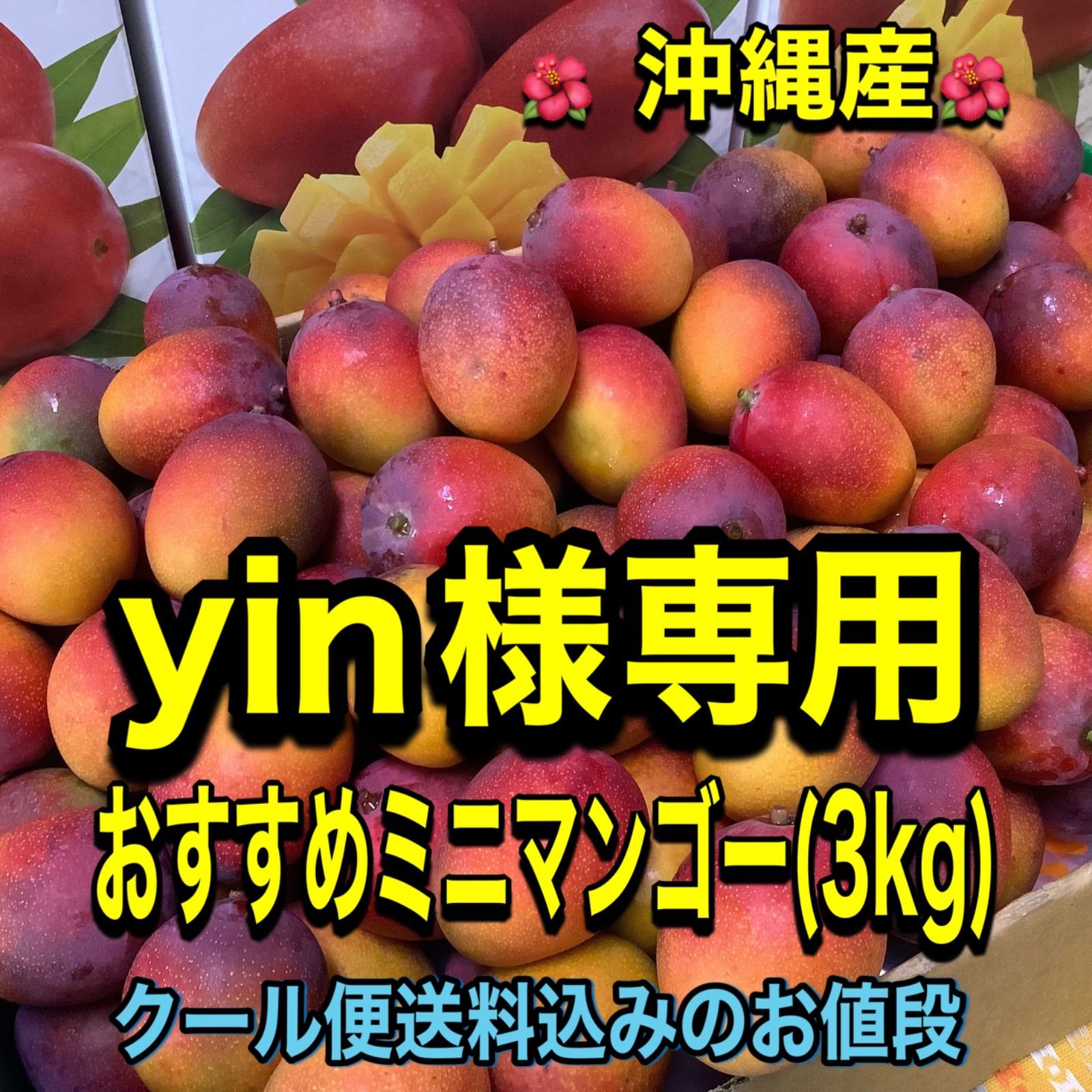 沖縄産 ミニマンゴー 3kg yin様/沖縄産☆ミニマンゴー(3kg) - メルカリ