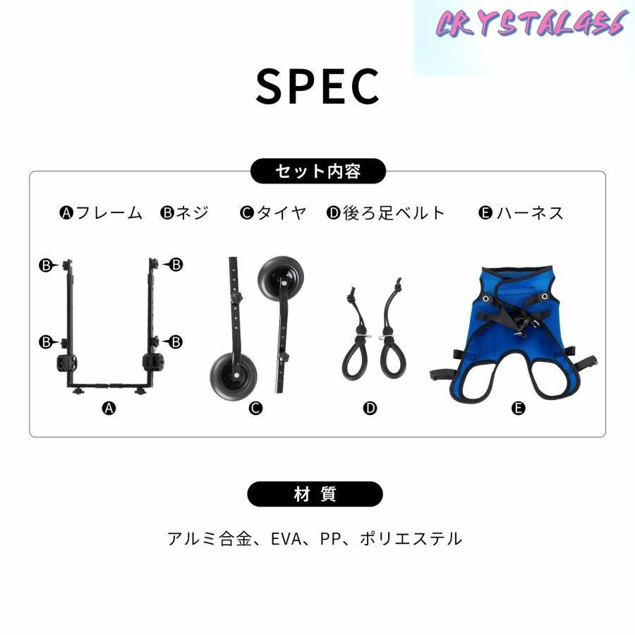 猫 散歩