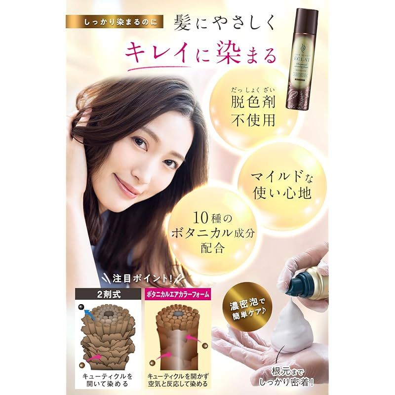 ヘアボーテエクラ ボタニカルエアカラーフォームEX ナチュラルブラック