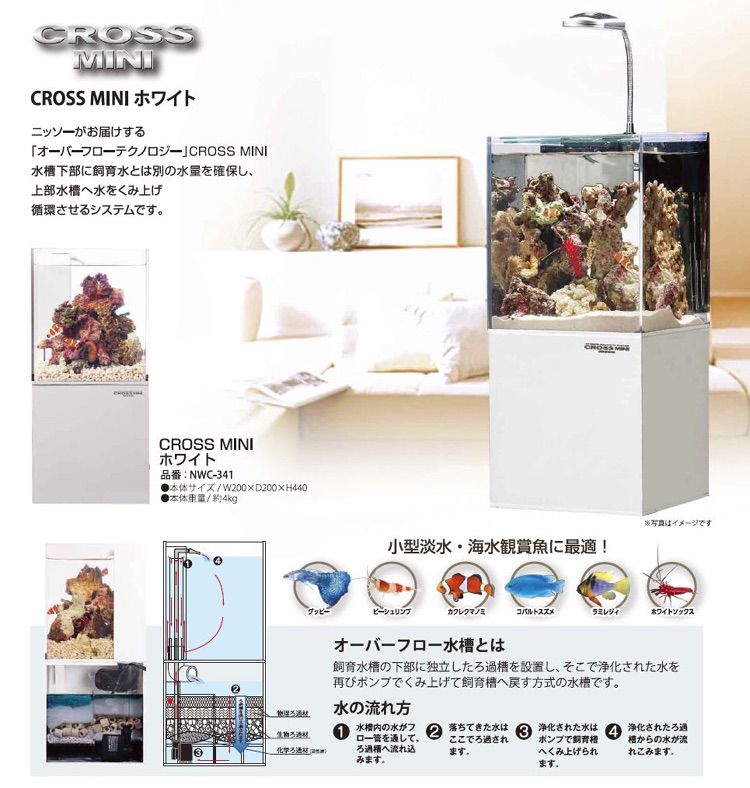 ニッソー CROSS Mini ホワイト - メルカリ