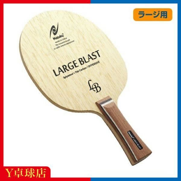 ベルガムナッツ 大苗 4年生 トランペットユーカリ オージープランツ