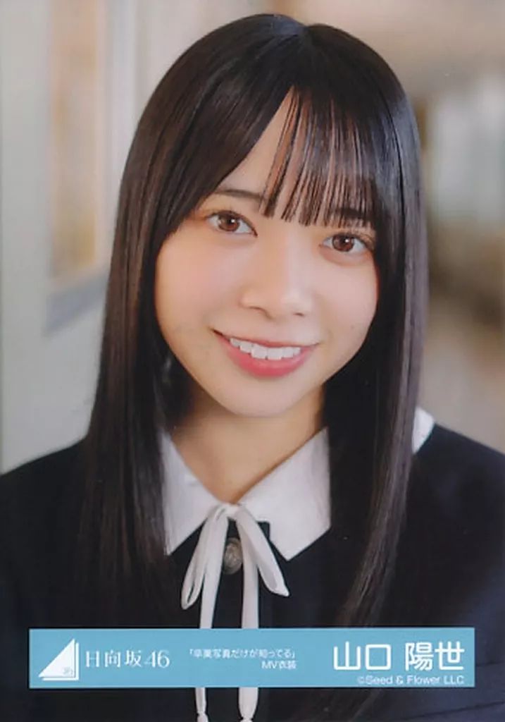 山口陽世 卒業写真だけが知ってる 直筆秘蔵生写真 山口陽世 向坂46