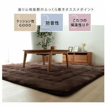 ブラウン 約220×300cm