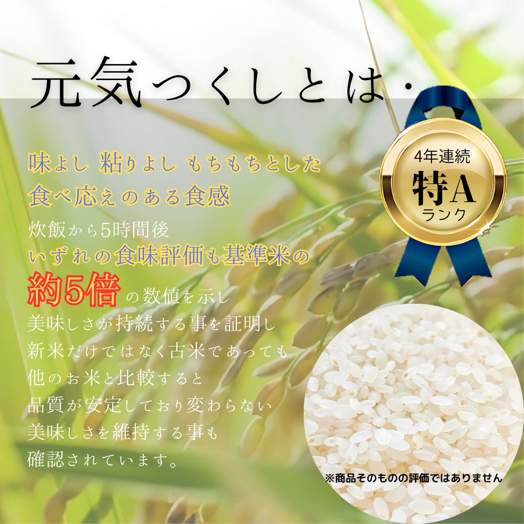 やんゆき様専用 準自然米 福岡県産「元気つくし」令和4年産 玄米20kg