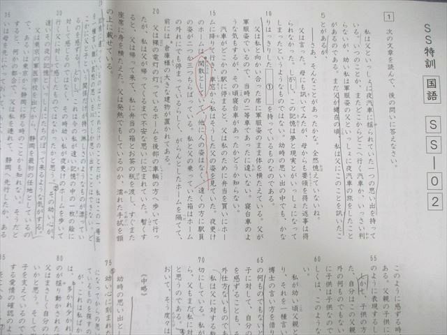 SAPIX サピックス SS特訓 国語 通年セット 【全14回分フルセット