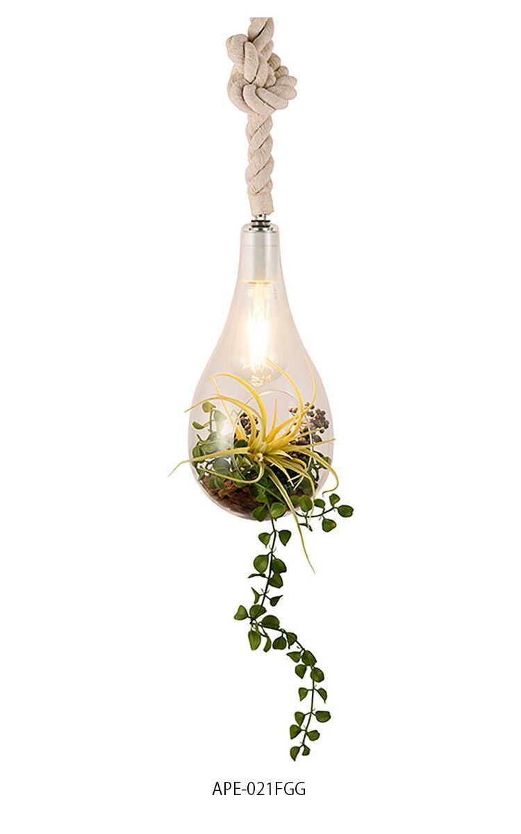 BOTANIC Hanging Light M FGG