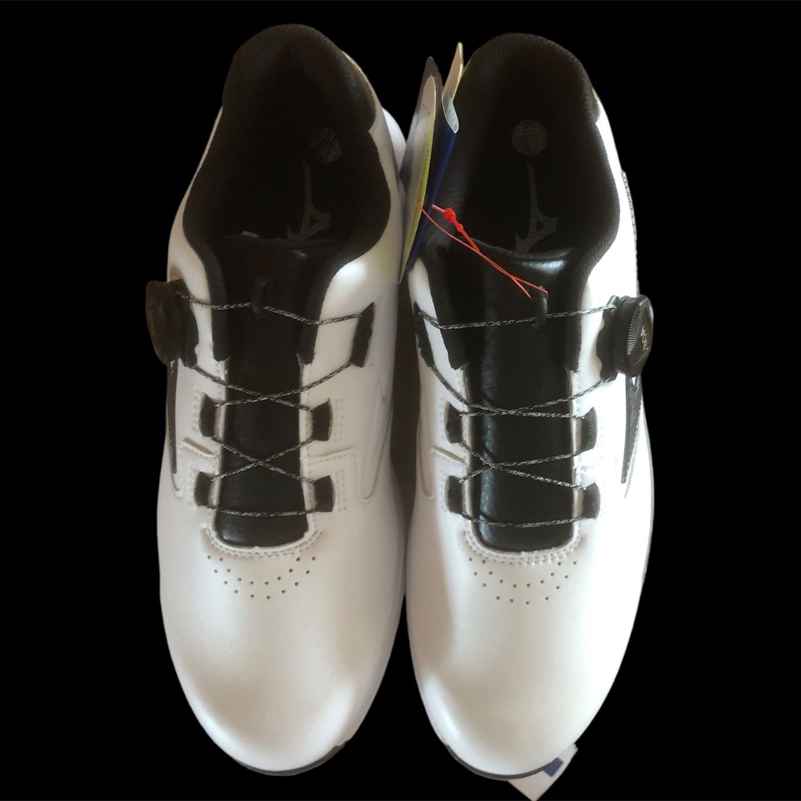 MIZUNO ゴルフ用シューズ ネクスライトGSボア 25cm 28cm 3E