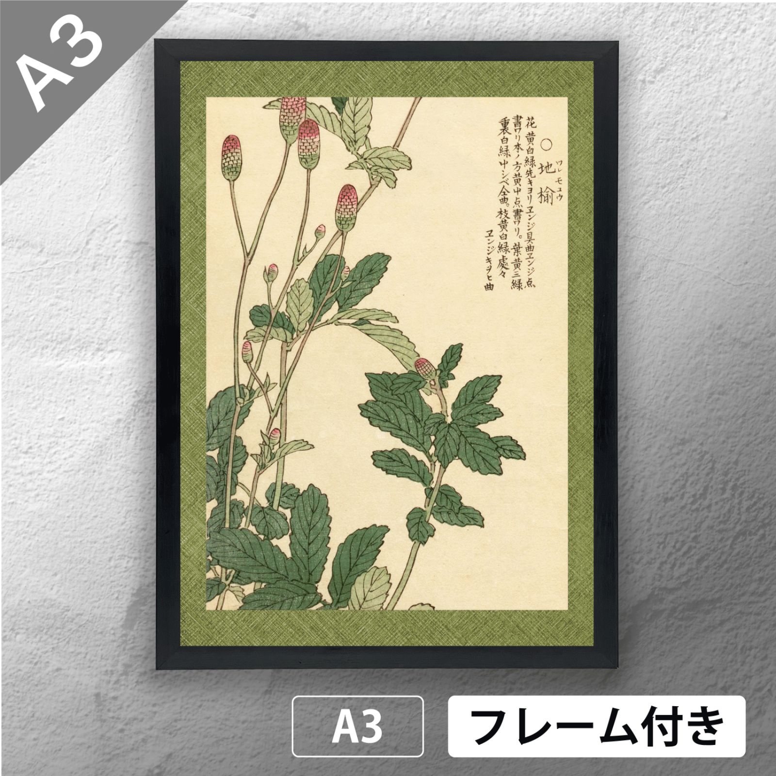 幸野楳嶺 「千種の花 ワレモコウ」 ボタニカルアート 日本画ポスター