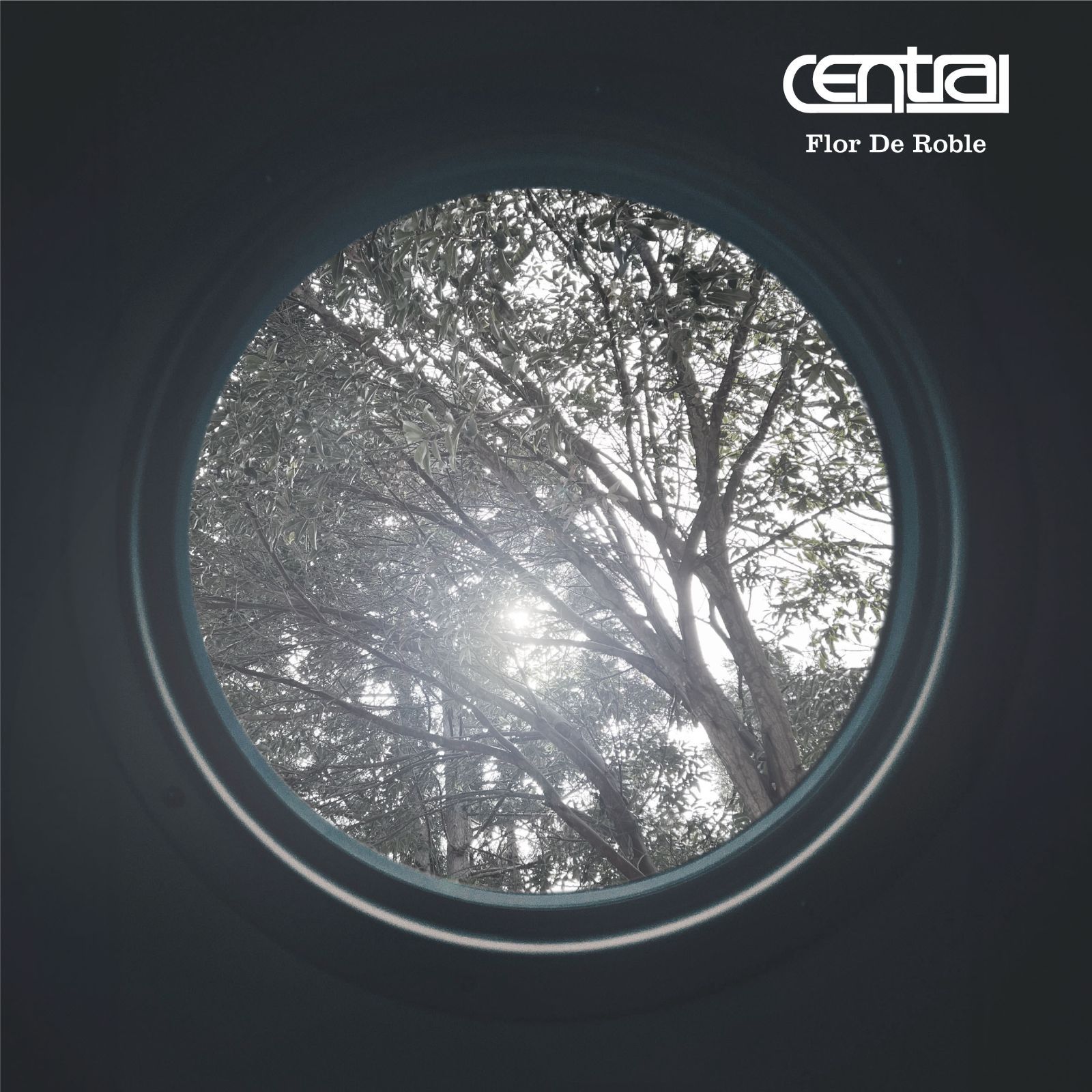 [未使用品 アナログレコード LP]　CENTRAL　Flor De Roble 未使用品 アナログレコード LP] CENTRAL Flor De Roble - メルカリ