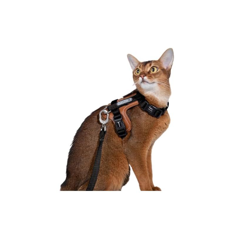 ねこりーさん Lucky Friends 抜けない 猫 ハーネス リード付き 散歩用 サイズ
