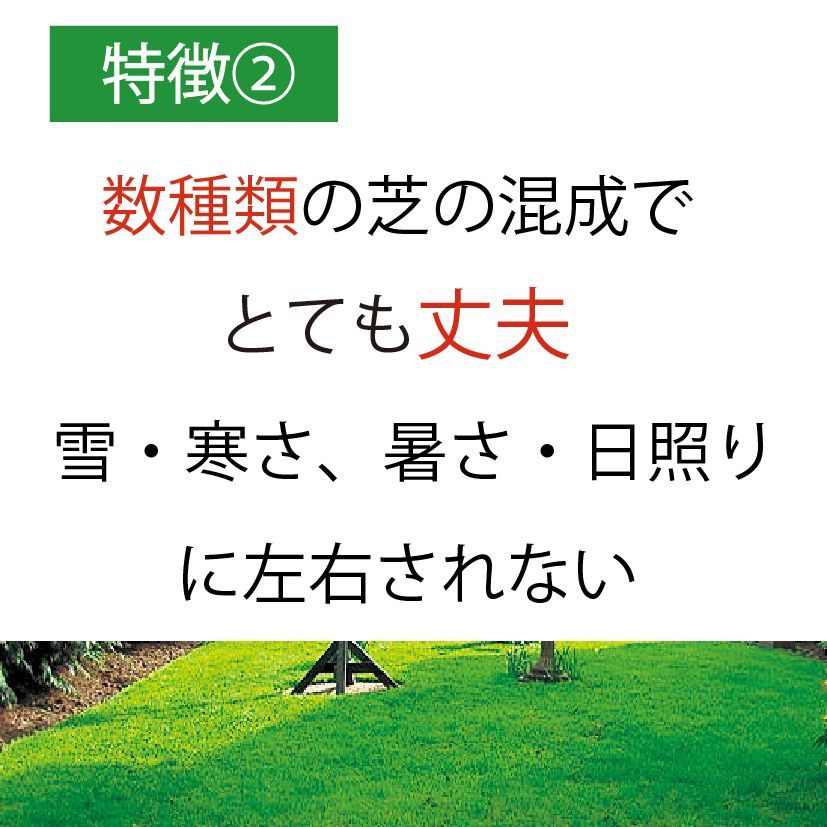 のサムネイル