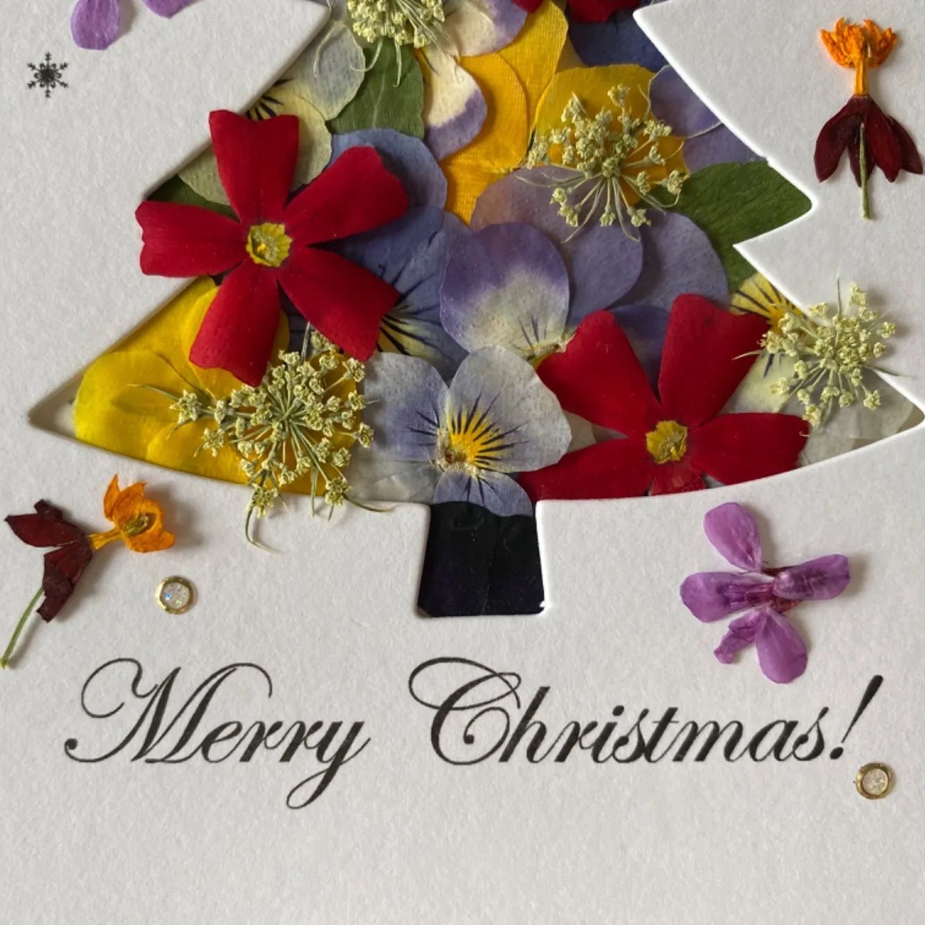 押し花アート❉銀世界のクリスマス❉押し花額 インテリア雑貨 額縁 クリスマス SAIKA 押し花アート インテリア L額 クリスマスローズ | 押し花 Shop