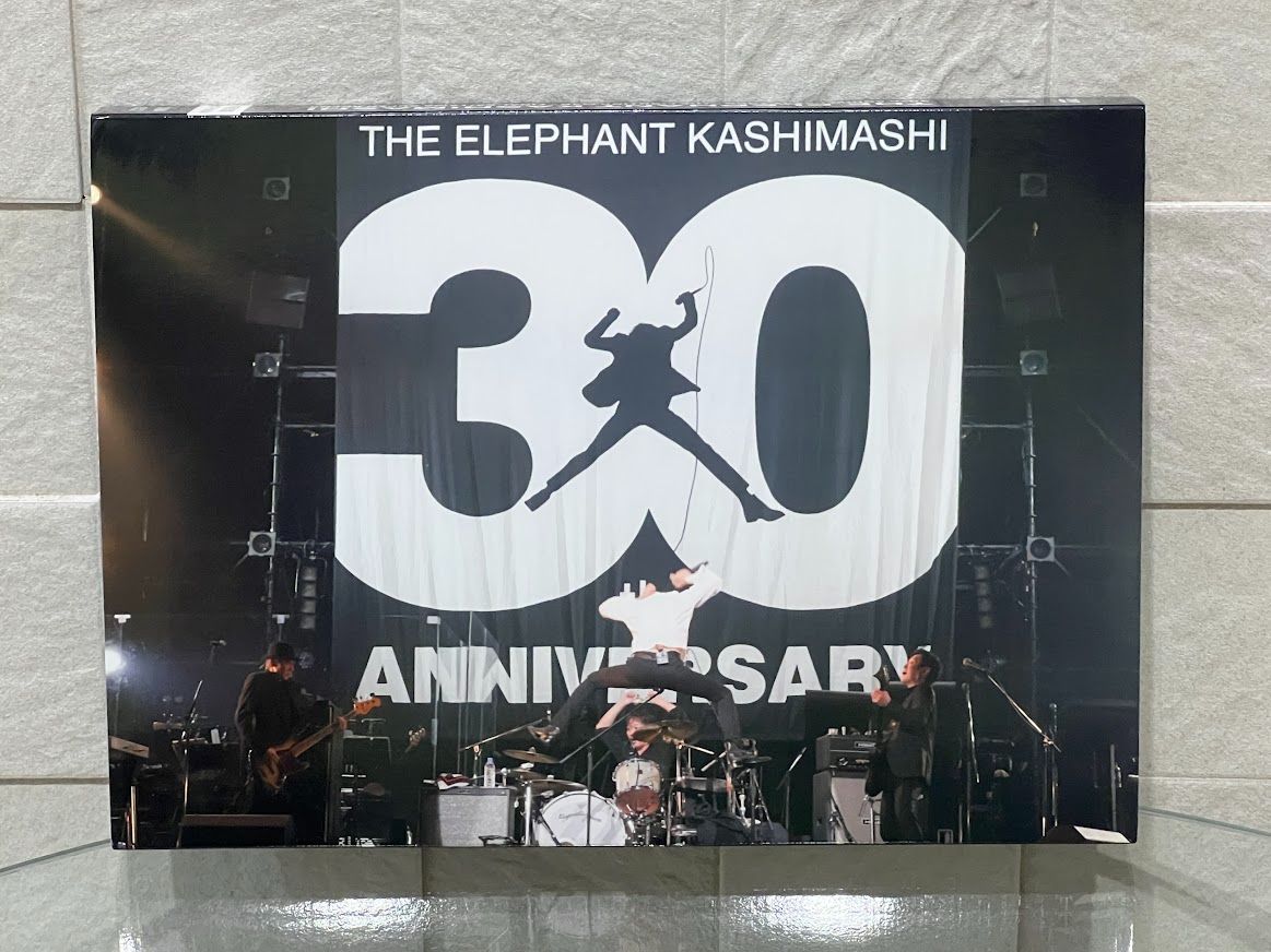 エレファントカシマシ 30th ANNIVERSARY TOUR THE FIGHTING MAN FINAL