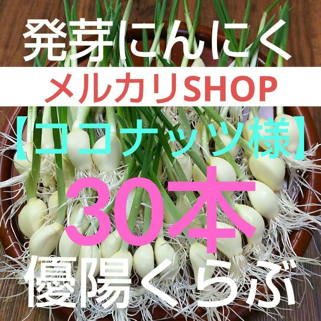 ます3874