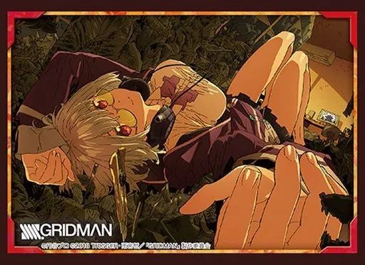 SSSS.GRIDMAN 新条アカネ ブシロード スリーブ 中古】サプライ ブシロードスリーブコレクション ハイグレード