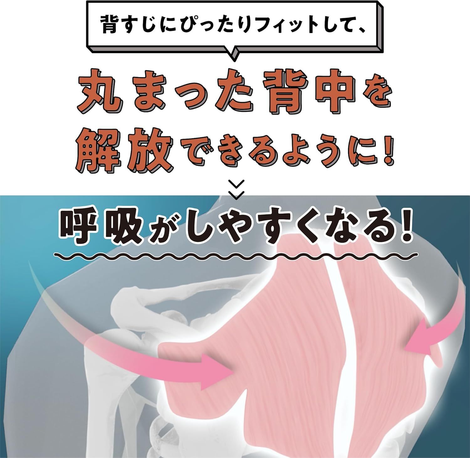 SU-ZI] [スージー] 胸を開くまくら 巻き肩ケア 快眠呼吸 不眠