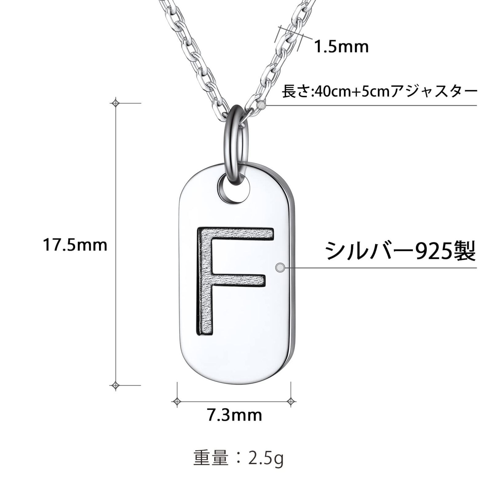【新着商品】PROSTEEL 小さい タグ プレート イニシャルF ネックレス