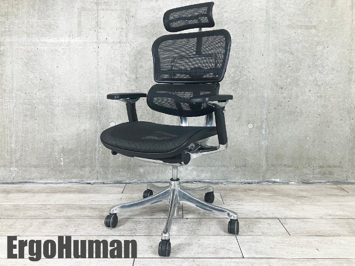 Ergohuman| エルゴヒューマン プロ ヘッドレスト付 メッシュ ブラック
