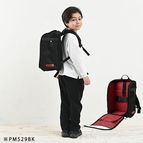 PM529
