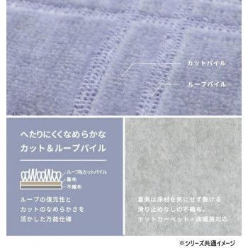 シオン