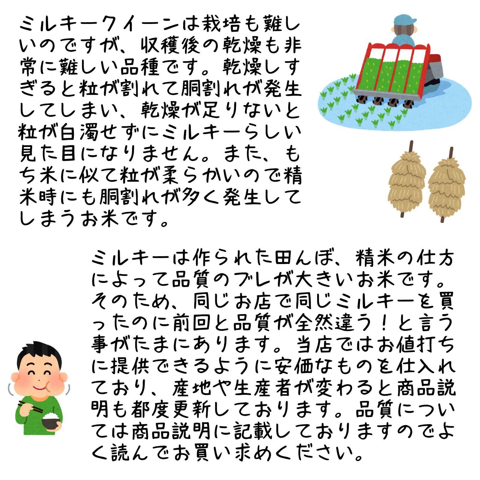 愛知県 ミルキークイーン