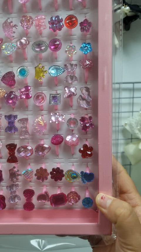 犬セット 箱入り