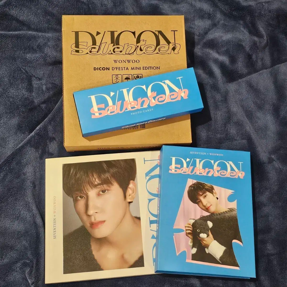 SEVENTEEN DICON DFESTA ミニ ウォヌ バージョン フルセット