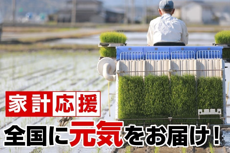 令和6年産新米入り 30kg