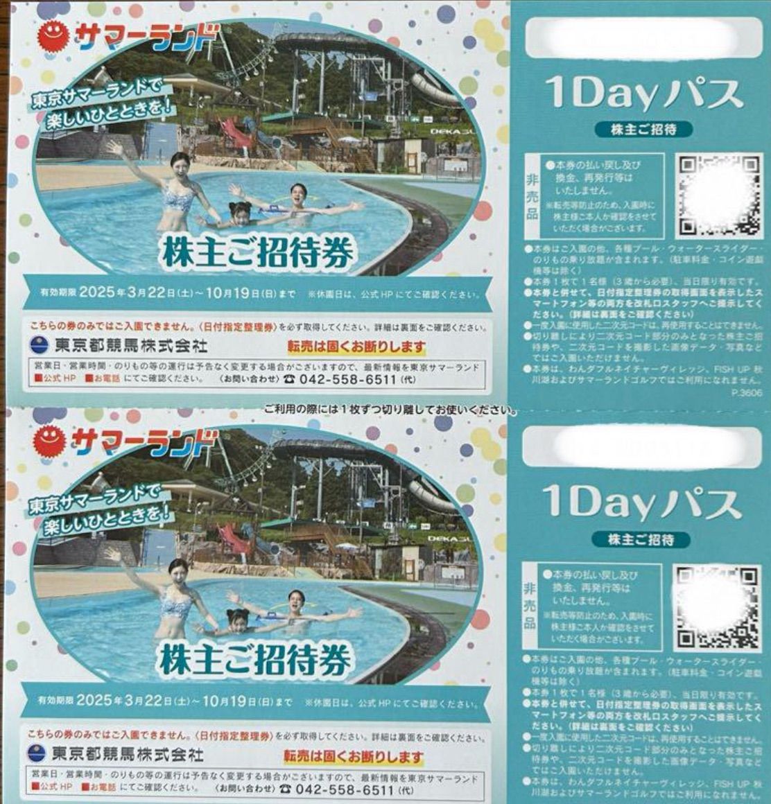 施設利用券 ＊東京サマーランド 1DAYパス夏限定 2枚＊
