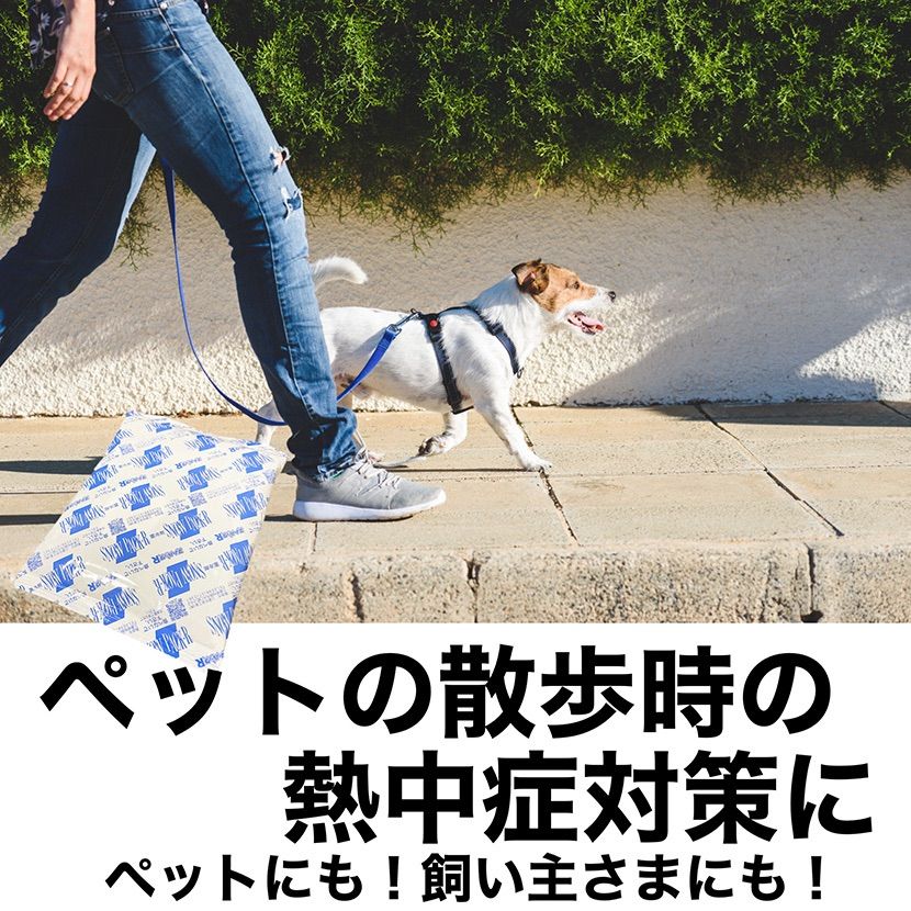 氷点下冷却剤