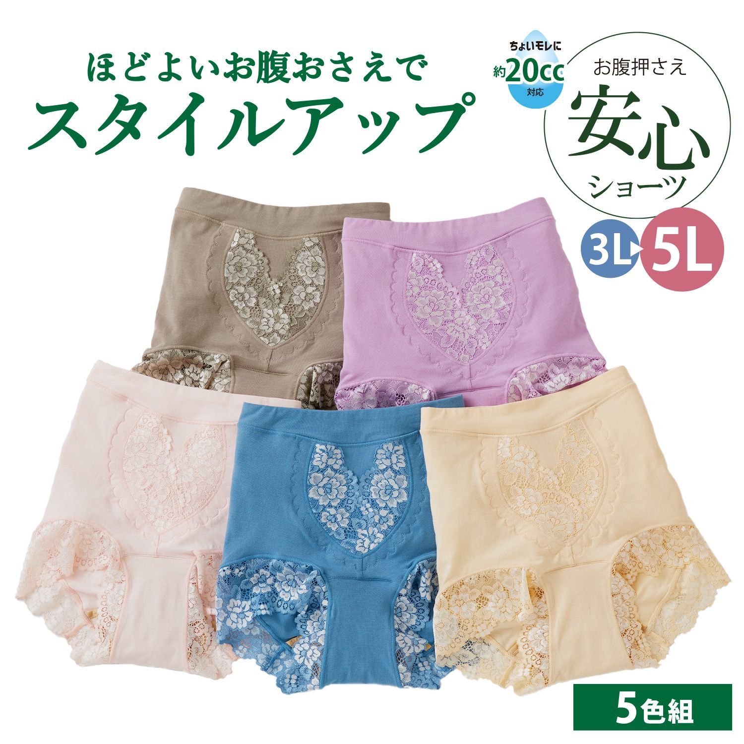 尿漏れパンツ 女性用 5枚組 お腹押さえ 安心ショーツ 下腹 大きいサイズ 20cc 3L 4L 5L パワーネット 失禁パンツ 婦人