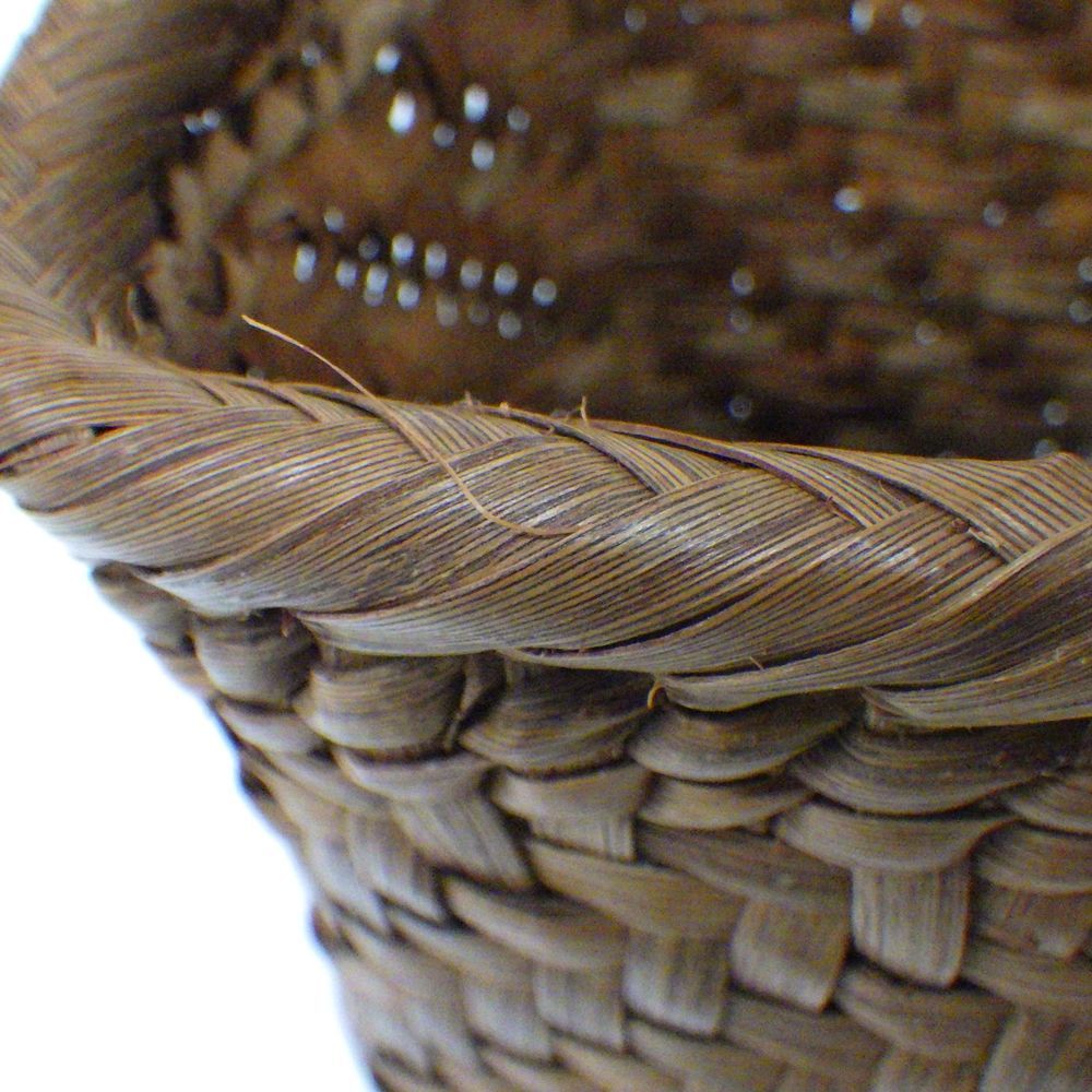 山ぶどう 山ブドウ