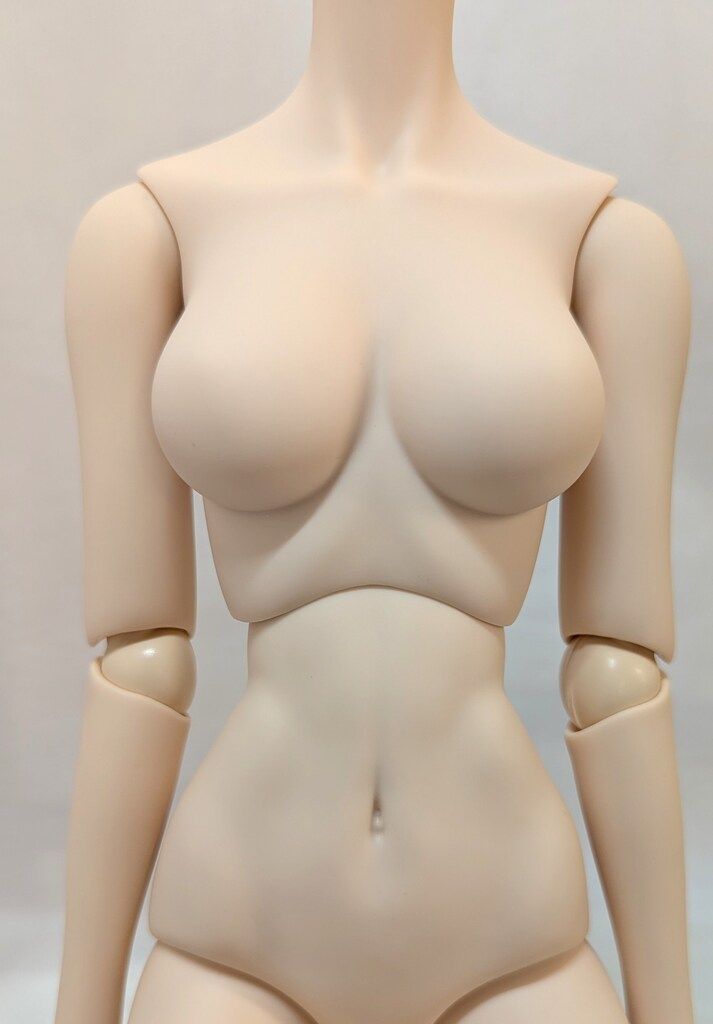 ボークス ドルフィードリーム DDベースボディ DD-f3 M胸 ノーマル肌 WWW_STEELWINDOWSANDDOORS_COM