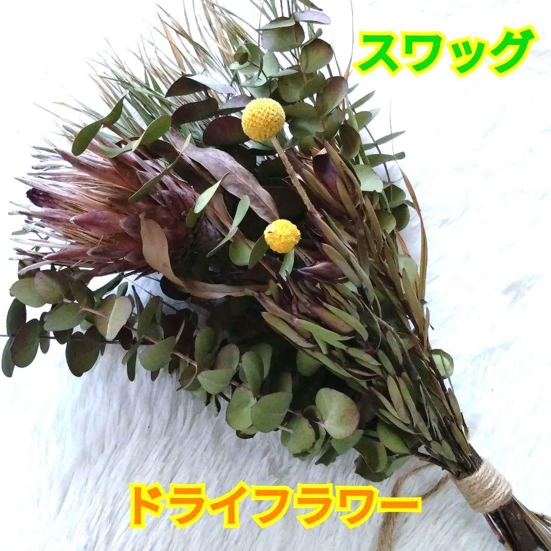 ドライフラワースワッグ☆プロテア☆リューカデンドロン