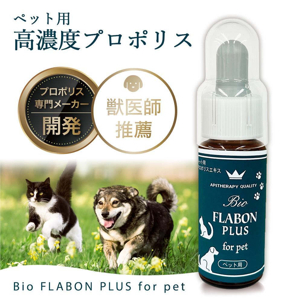 ローカルスタンダード パドルベイト165付き ミノー、ジグセット