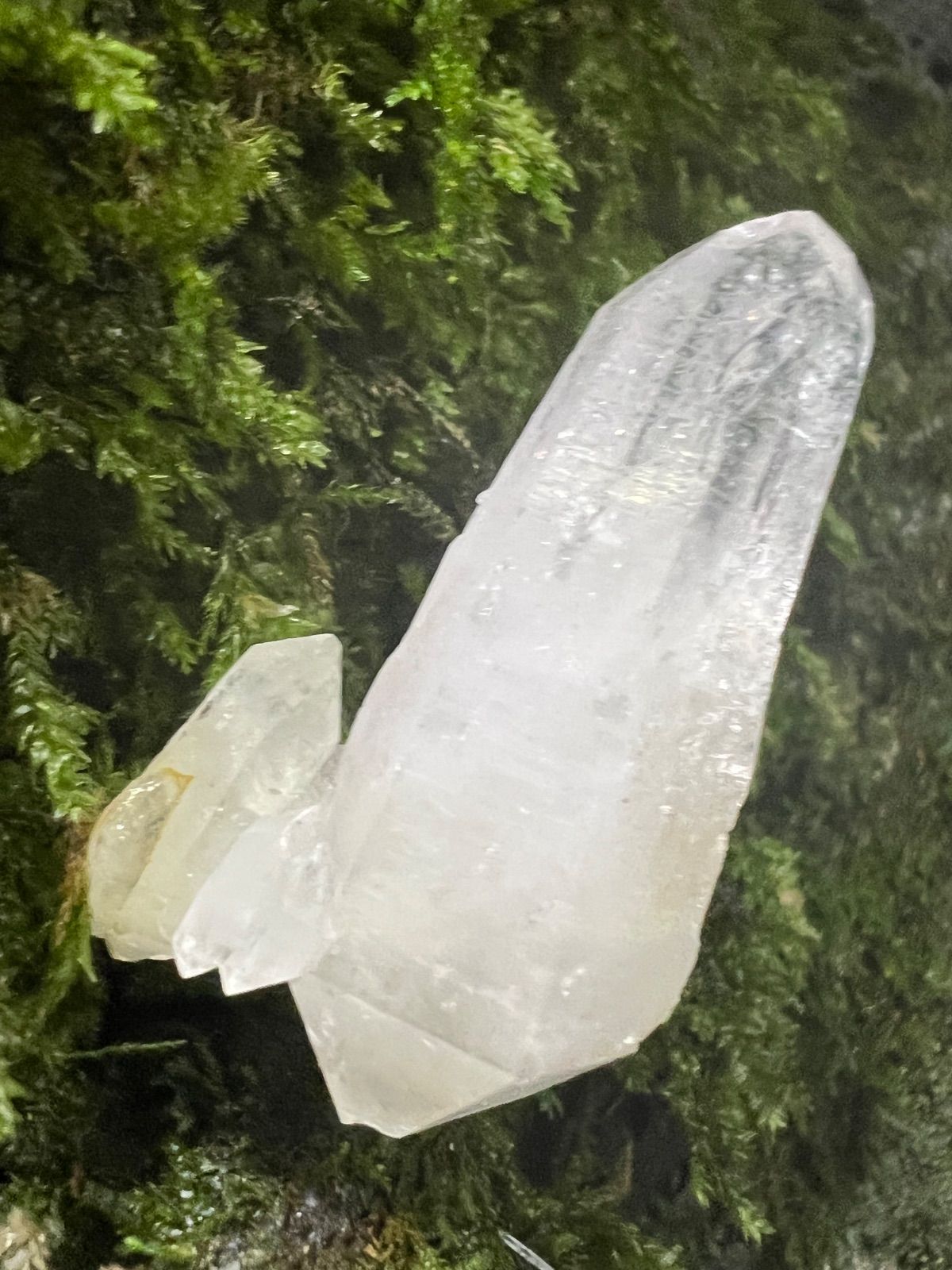 龍脈の精髄 ― 宮崎産 両剣水晶+クラスター付き+虹入り 調和と再生 奇跡を呼ぶ光 保護猫活動支援