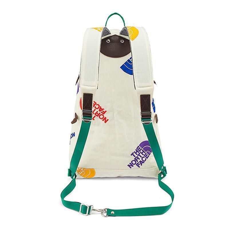 USモデル】激レア！The North Face COLOR BLOCK Chapter One Day Pack 