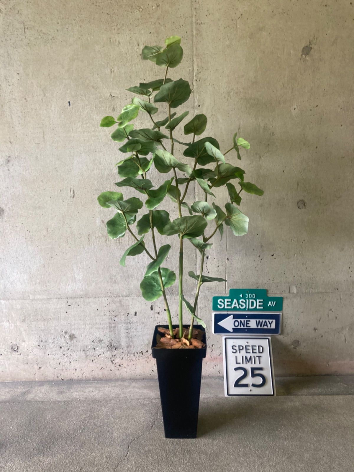 光触媒　人工観葉植物　ウォールグリーン　フェイクグリーン　シーグレープ132 光触媒 人工観葉植物 ウォールグリーン フェイク シーグレープ132