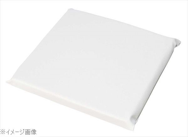 【新品】レザー 座布団 無地 ＡＡＵ０００４ 中 白