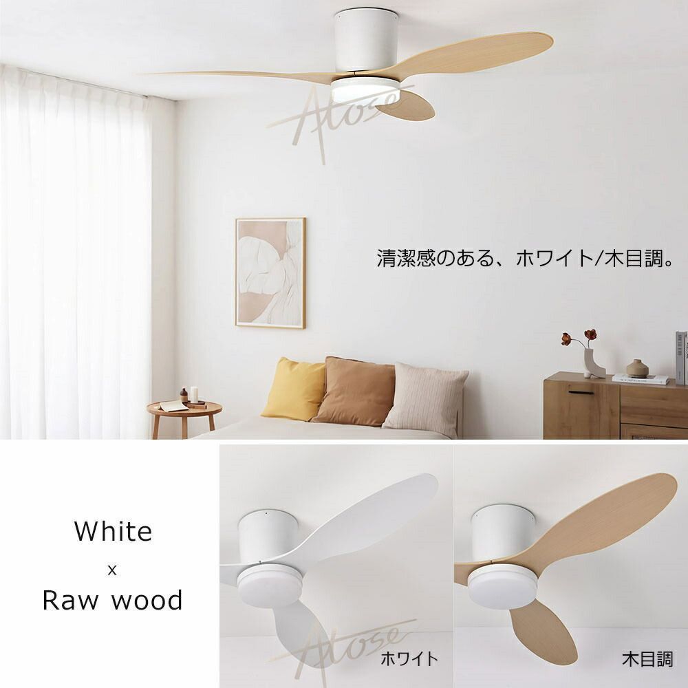 選手支給品 アンテルマルシェ・ワンティ サイクルジャージ