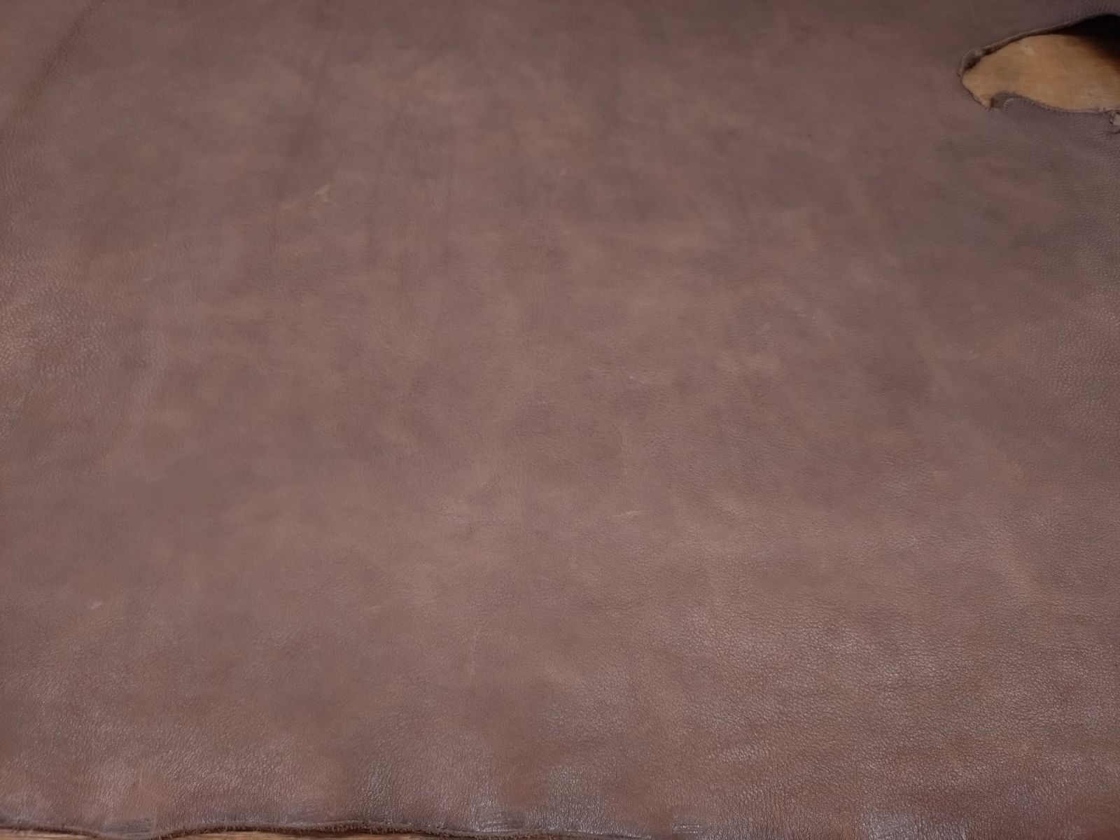 ヌメ革シュリンク ダークブラウン 半裁 268ds NEXPOTALLINN_EU