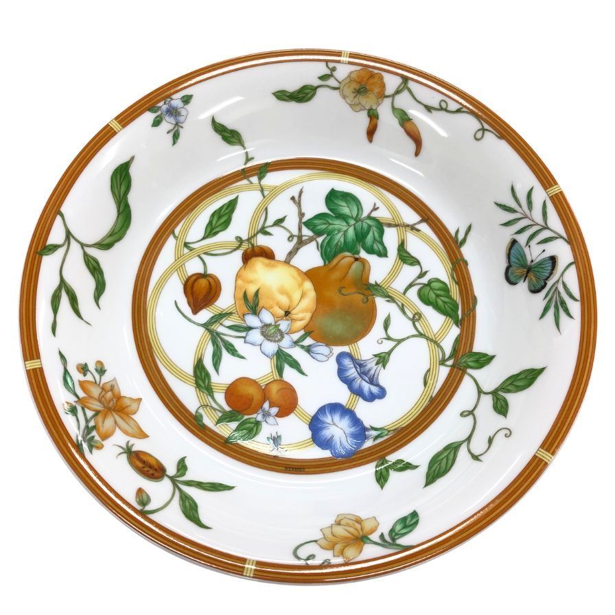 m*a様 公式 【人気ドワーフ4種12株セット①】ビカクシダ OMG NANO