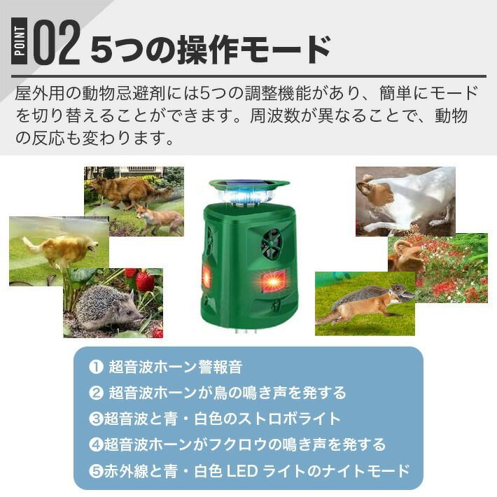庭 家庭菜園