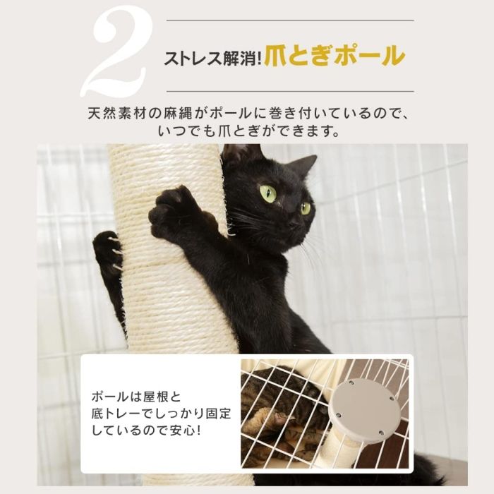 ● 5営業日で発送